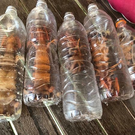 Spheredivers Scuba & Leisure Mabul Island المظهر الخارجي الصورة