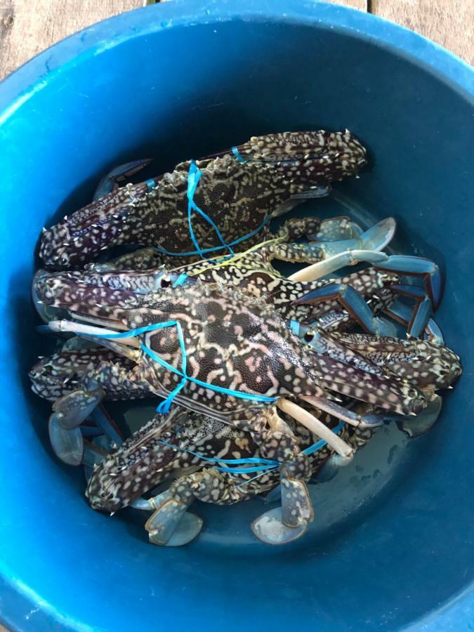 Spheredivers Scuba & Leisure Mabul Island المظهر الخارجي الصورة